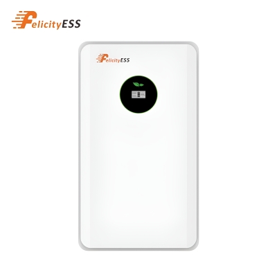 Batteriespeicher Premium LiFePO4 Lithium 12.5 kWh 250Ah...