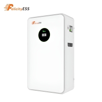 Battery storage Premium LiFePO4 Lithium 12.5 kWh 250Ah with fire protection gel Felicity