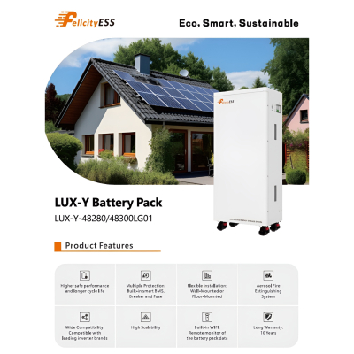 Battery storage Premium LiFePO4 Lithium 15 kWh 300Ah with fire protection gel Felicity