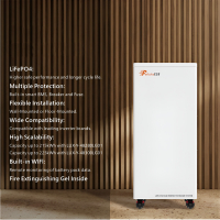 Battery storage Premium LiFePO4 Lithium 15 kWh 300Ah with fire protection gel Felicity